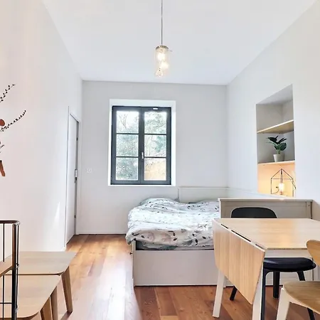 Lovely Renovated Studio - Apartment